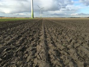 24 februari 2016: ploegen versus roterend spitten