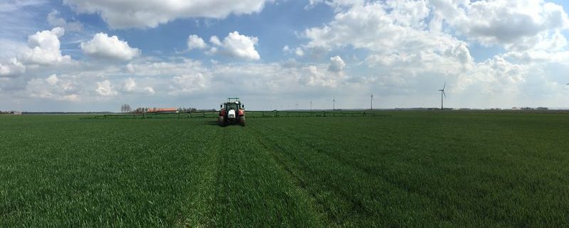 9 april 2016: groeiregulatie in wintertarwe