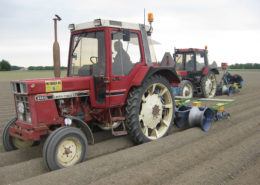 17 mei 2009; winterpeen zaaien