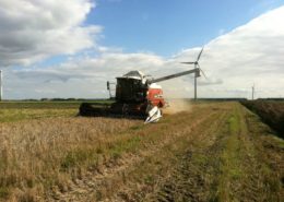 1 september 2011: laatste tarwe gedorsen