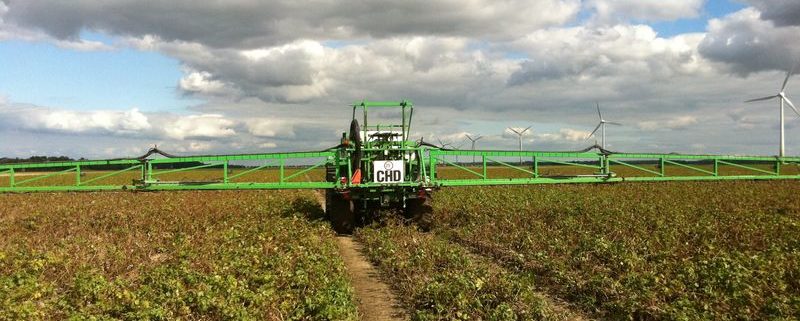 1 september 2011: loofvernietiging aardappelen