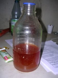 12 augustus 2007; oregano oogst