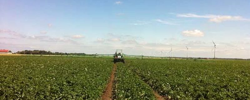 15 juli 2011: langdurige regen midden van de week