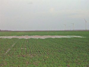 19 januari 2007