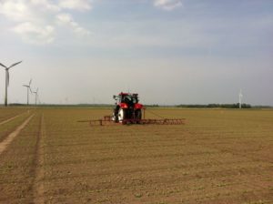 28 april 2011: bieten dunnen proefveld