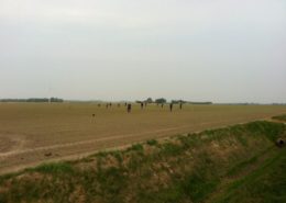 28 april 2011: bieten dunnen proefveld