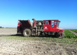 24 oktober 2011: proefveld bieten er uit