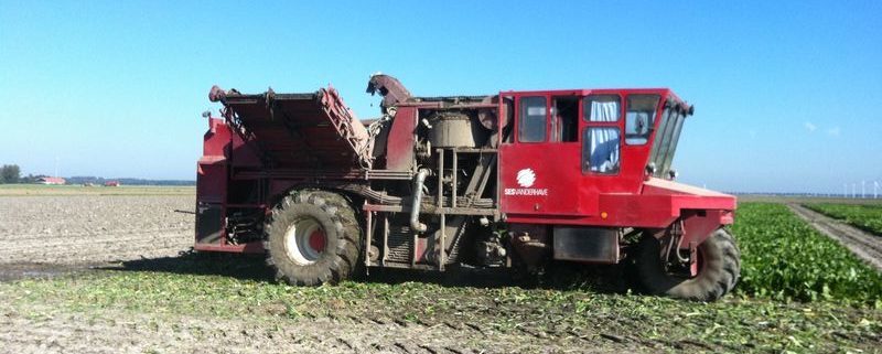 24 oktober 2011: proefveld bieten er uit