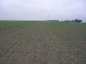 26 mei 2007