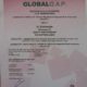 31 maart 2011: nieuw Golbalgap certificaat
