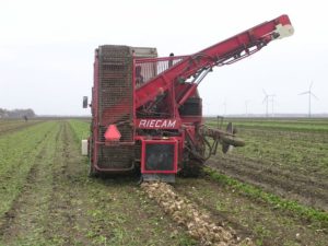 10 november 2007; Suikerbieten rooien en Global Gap