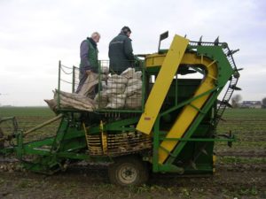 10 november 2007; Suikerbieten rooien en Global Gap
