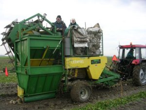 10 november 2007; Suikerbieten rooien en Global Gap
