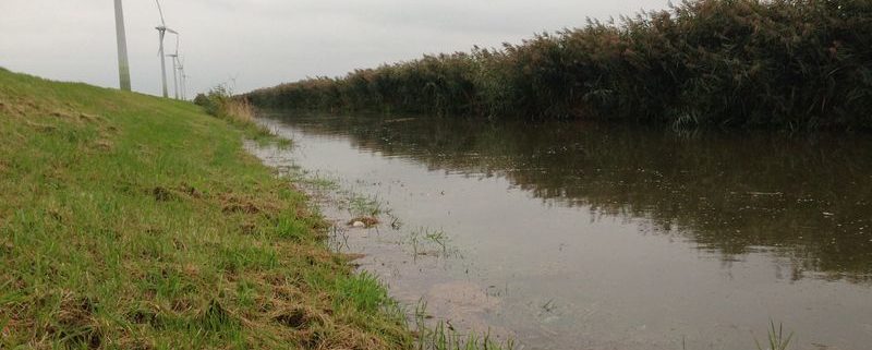 In de Overijsselse tocht, die achterlangs ons bedrijf loopt, staat het water enkele cm's boven de beschoeiing. Voorlopig blijft het wisselvallig. Er moet nog veel gebeuren op het land. Wintertarwe moet gezaaid worden en er moet nog geploegd worden.