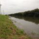 In de Overijsselse tocht, die achterlangs ons bedrijf loopt, staat het water enkele cm's boven de beschoeiing. Voorlopig blijft het wisselvallig. Er moet nog veel gebeuren op het land. Wintertarwe moet gezaaid worden en er moet nog geploegd worden.