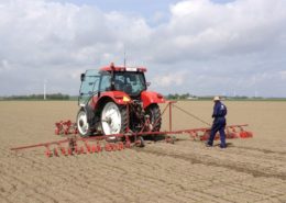 15 mei 2013; suikerbieten dunnen van proefveld