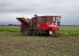 15 oktober 2010; Proefveld suikerbieten SES van der Have gerooid