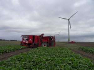 15 oktober 2010; Proefveld suikerbieten SES van der Have gerooid