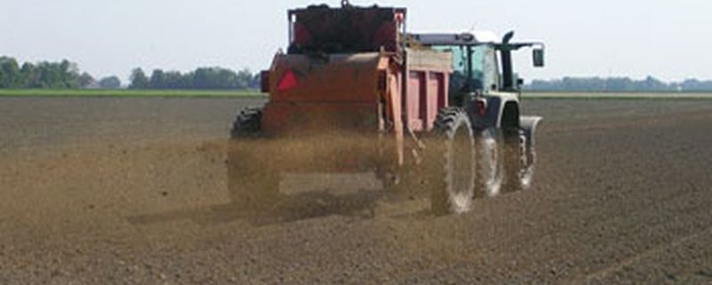 18 mei 2008; kippemest op aardappelen