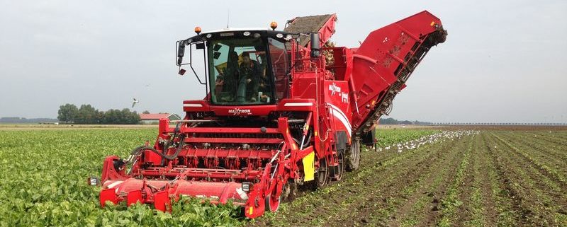 20 en 21 september 2013; suikerbieten rooien