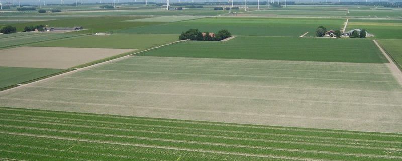 24 juni 2010; foto's vanuit de windmolen