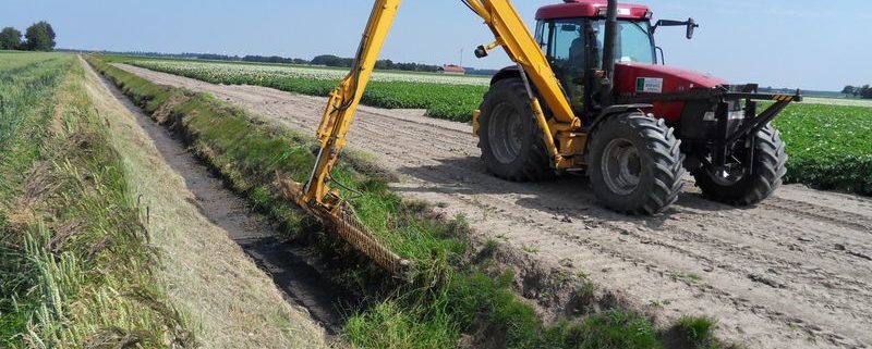 28 juni 2009; peensporen woelen en maaikorven