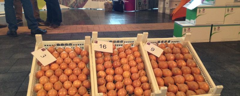 29 januari 2014; verkiezing mooiste bewaarui