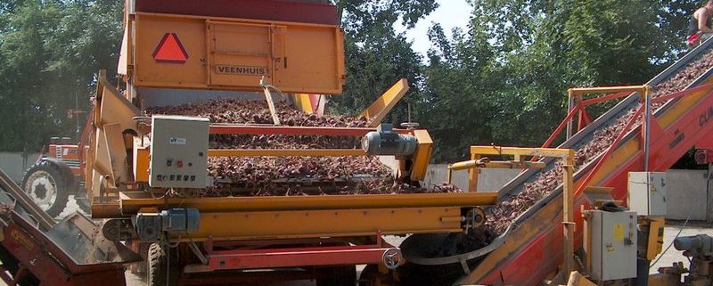 30 augustus 2002; uien laden en varkensmest injecteren