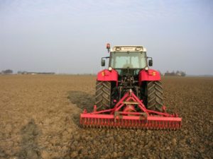 6 januari 2008; voorbewerken uienland