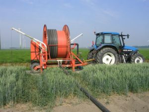 8 juni 2008; beregenen aardappelen