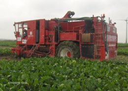 9 oktober 2010; proefveld suikerbieten rooien