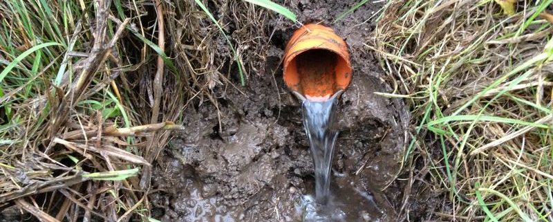 Januari 2013; drains controleren