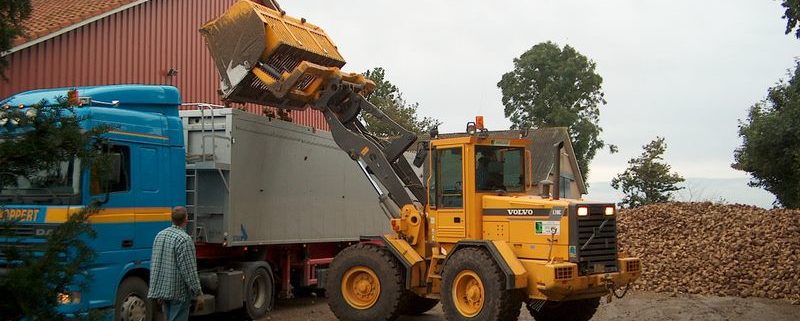 29 september 2002; suikerbieten gerooid