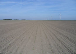 22 mei 2011: verfrissend buitje