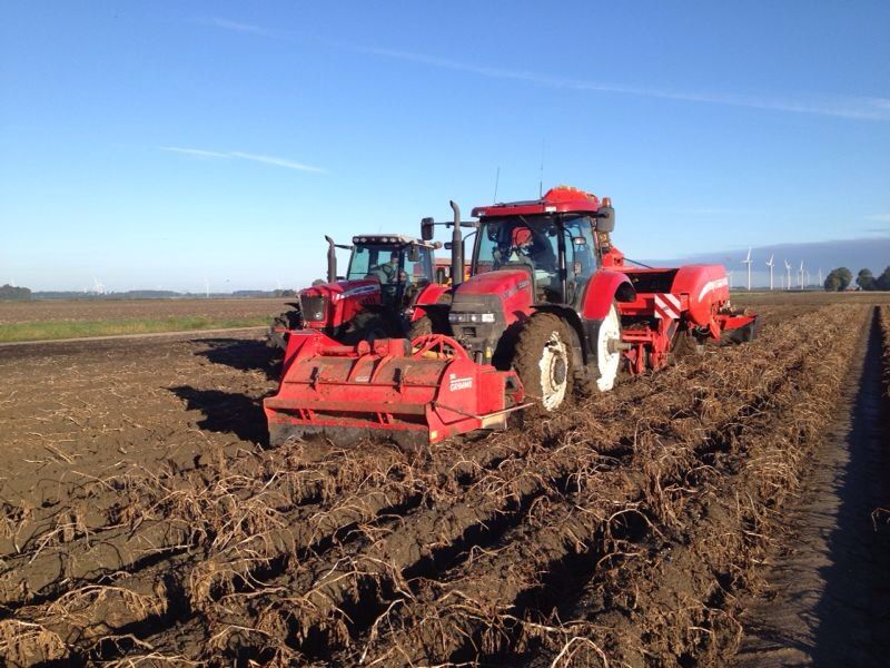 Gewasgroei aardappelen 2013