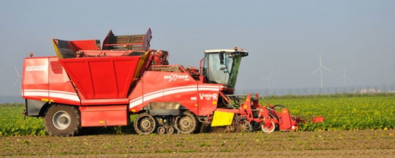 18 september 2014; suikerbieten rooien