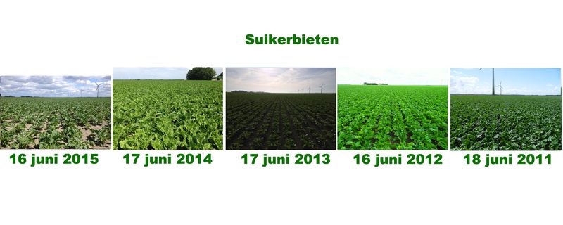 19 juni 2015; 5 jaarlijkse gewasgroeivergelijking