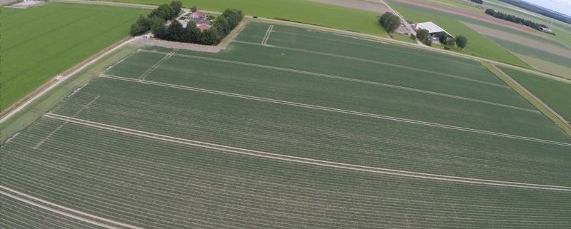 21 juni 2014; Harrysfarm vanuit de lucht