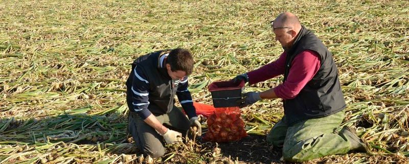 27 augustus 2014; Seminis proefras uien