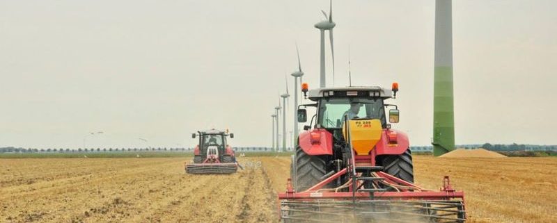 6 augustus 2014; gele mosterd zaaien