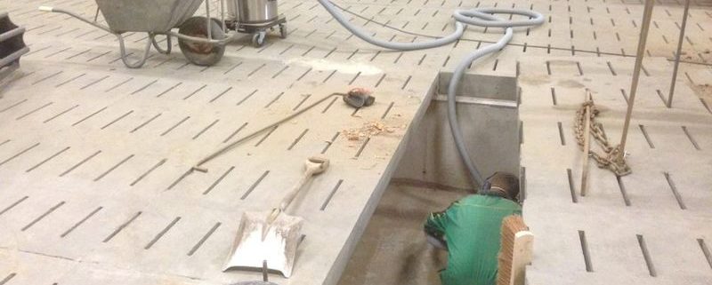 Harrysfarm-Swifterbant-Flevoland-6mei2015-koeling-schoonmaken-agrodust-11038875_1067600229920230_5056626728390872122_n