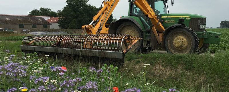 29 juni 2017; stootbodems maaikorven