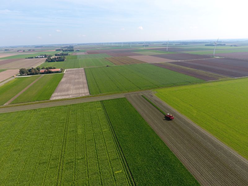 21 september 2017; suikerbieten rooien