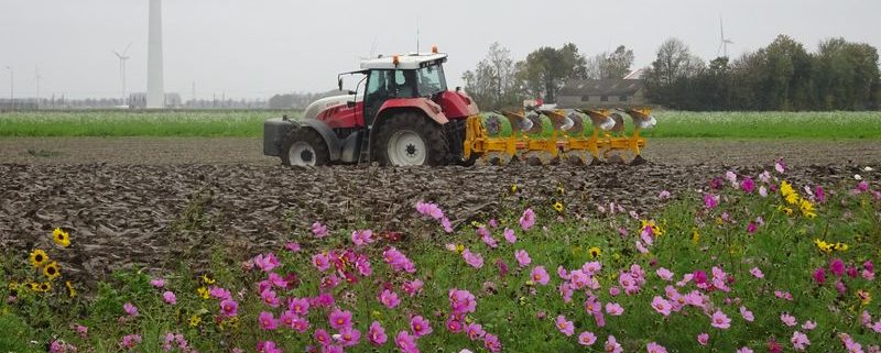 27 oktober 2017; ploegen 1e perceel