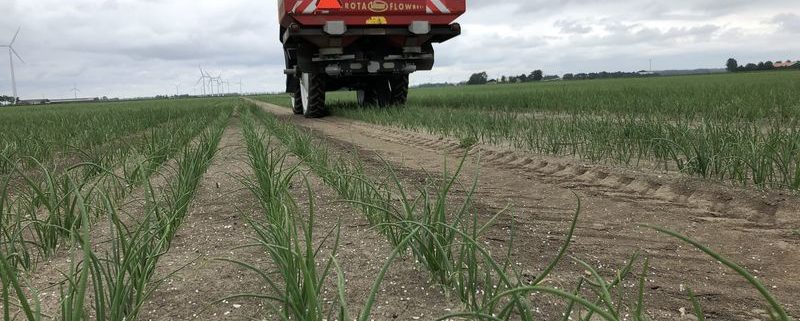 12 juni 2018; bemesten uien en aardappelen