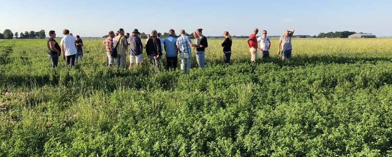 3 juli 2018; Veldexcursie FAC Flevoland