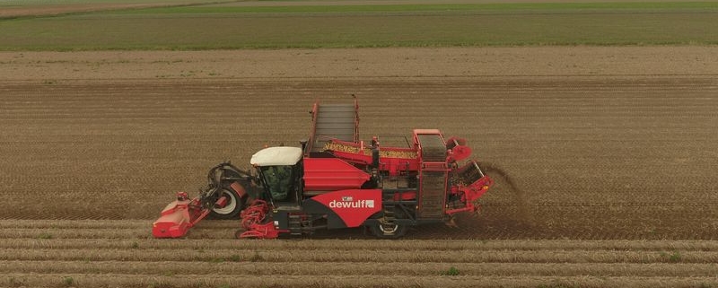 16 augustus 2018; pootgoed rooien door loonbedrijf Witkop