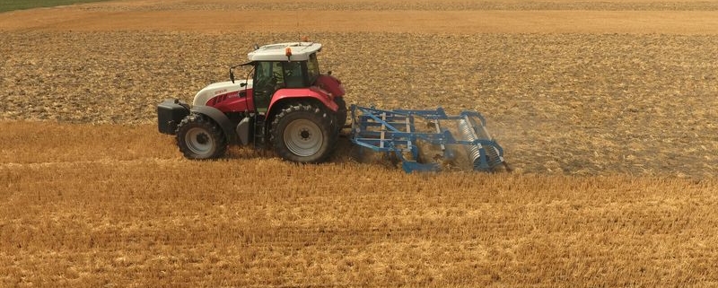 3 augustus 2018; wintertarwe stoppel lostrekken