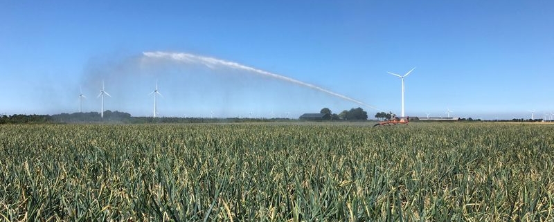 3, 4 en 5 augustus 2018; uien beregenen