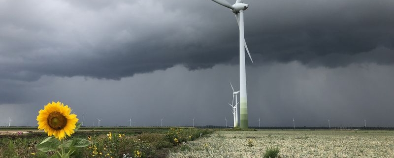 30 augustus 2018; droogte tijdelijk voorbij